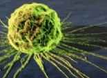  باحثون يجعلون خلايا السرطان تدمر نفسها بنفسها 