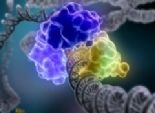  صورة ثلاثية الأبعاد لتغيير كروموزومات خلايا الجهاز المناعي