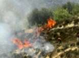  المستوطنون اليهود يحرقون أشتال الزيتون بمزارع الفلسطينيين ببيت لحم 