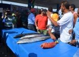 بدء بطولة البحر المتوسط الخامسة لصيد الأسماك في الإسكندرية