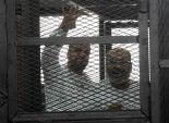 محامي البلتاجي: سجن موكلي 15 عاما "صدمة".. والخضيري قاض عظيم