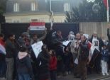 الجالية المصرية في النمسا تجهض مظاهرات للإخوان أمام السفارة