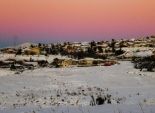 موقع إسرائيلي: العاصفة الثلجية تسببت في 100 مليون شيكل خسائر بالزراعة