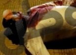 المؤبد والسجن 3 سنوات لـ249 إخوانيا بالدقهلية في قضايا ذبح 