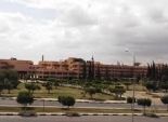  جامعة مدينة السادات تنظم قوافل طبية بيطرية مجانية لمحافظات الدلتا 