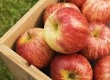  تجار : التفاح السورى خارج ازمات الثورة السورية