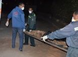مقتل عامل في مشاجرة حول ملكية مقبرة في المنيا