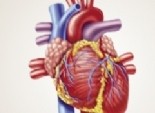  الأساليب الحديثة لجراحة القلب والصدر في مؤتمر علمي بجامعة طنطا