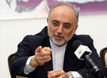 صالحي: الحكومة الإيرانية الجديدة اتخذت خطوات كبيرة لحل أزمة 