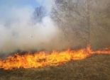 إخلاء 50 منزلا إثر اندلاع حريق هائل في غابات 