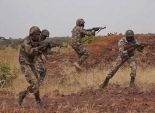 مقتل ثلاثة إرهابيين في تمشيط الجيش المالي للحدود مع ساحل العاج