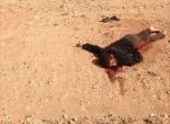  سياسيون من دمياط يستنكرون اعتداء مسلحيين على مصريين بليبيا 