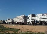  استمرار منع دخول شاحنات البضائع المصرية إلى ليبيا عبر منفذ السلوم 