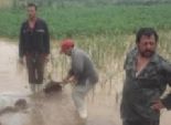  غرق 3 قرى و 15 ألف فدان زراعي بسبب السيول في أسيوط