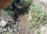  بالصور| نقص مياه الري يهدد آلاف الأفدنة بالبوار في بني سويف 