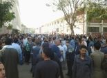  اعتصام 450 عامل بمصنع الشركة المصرية الهندية بالعين السخنة 