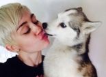  مايلي سايرس تنعي كلبها في ذكرى رحيله وتنشر صورة تقبله فيها