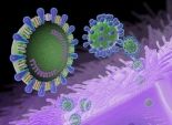 وزير الصحة اللبناني: تسجيل أول حالة إصابة بفيروس 