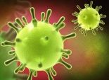 كوريا الجنوبية تعلن الوفاة الـ24 بفيروس 