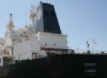  ميناء دمياط يستقبل السفينة القبرصية العملاقة DANAE 