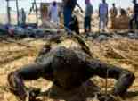 العثور على جثة متفحمة في صحراء القاهرة الجديدة