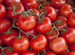 دراسة : الطماطم قد تزيد من خصوبة الرجال بنسبة 70 %