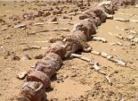 مصر تحتفل بوضع حجر الاساس لمتحف الحفريات وتغير المناخ بوادي الحيتان