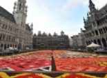 بالصور| سجاجيد الورود العطرة تغطي الساحة الكبرى ببروكسل