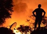 تدمير 32 بناية في حريق غابات بكاليفورنيا
