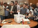 317 ألف مصرى بالخارج صوتوا فى الانتخابات الرئاسية.. و«العليا»: لا طعون على النتائج حتى الآن