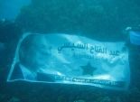 الحملة الرسمية للسيسي تنظم فعالية في أعماق البحر الأحمر