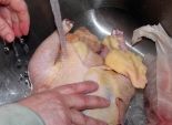 أبحاث طبية تحذر من غسل الدجاج قبل طهيه