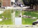  مياه الصرف الصحى تجتاح شوارع أسوان والفيوم