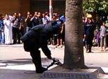 بالفيديو والصور | الأهالي يحتفلون بتفجير قنبلة بالإسكندرية بحضور رجال المفرقعات