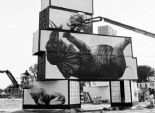  بالصور| فنان يحارب صائدي الحيوانات بالرسوم على حاويات البضائع 