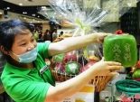 بالصور| إقبال كبير على شراء البطيخ المكعب في الصين