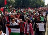 مظاهرة حاشدة في المكسيك تنديدا بالعدوان الإسرائيلي على غزة