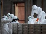 اكتشاف حالة إصابة بفيروس إيبولا في بريطانيا 
