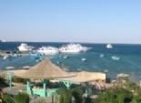  ميناء سفاجا يستقبل أكبر سفينة سياحية في العالم