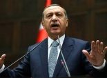 أردوغان: الإفراج عن 