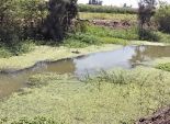 استغلال مياه الصرف الصحي في  المشروعات الزراعية في ندوة بمطروح 