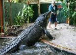 بالصور| صداقة بين صياد أسترالي وأكبر تمساح في العالم لمدة 30 عاما