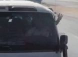 بالفيديو| سائق أتوبيس يرفع علامة 