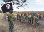 «داعش» يستعرض: جيش «دولة الخلافة» يضم 20 إلى 31 ألف مقاتل بينهم 30٪ أجانب.. ونسيطر على مساحة 81 ألف ميل
