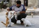 بالصور| شاب سوري يطعم 150 قطة يوميا
