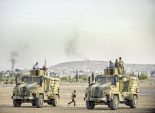 القوات الكردية تسيطر على 90% من كوباني 