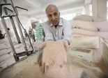 نقيب الفلاحين: إنتاج القمح فى مصر سيصل إلى ١٠ ملايين طن عام ٢٠١٧
