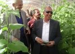 محافظ البحر الأحمر يفتتح مشروعات لزراعة الخضروات وسط جبال الشلاتين