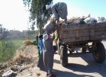 رفع 60 طن قمامة في حملة نظافة ورفع إشغالات بقرية بيهمو في الفيوم