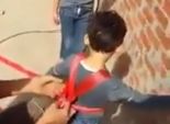 بالفيديو| مهمة انتحارية لطفل مصري.. 
